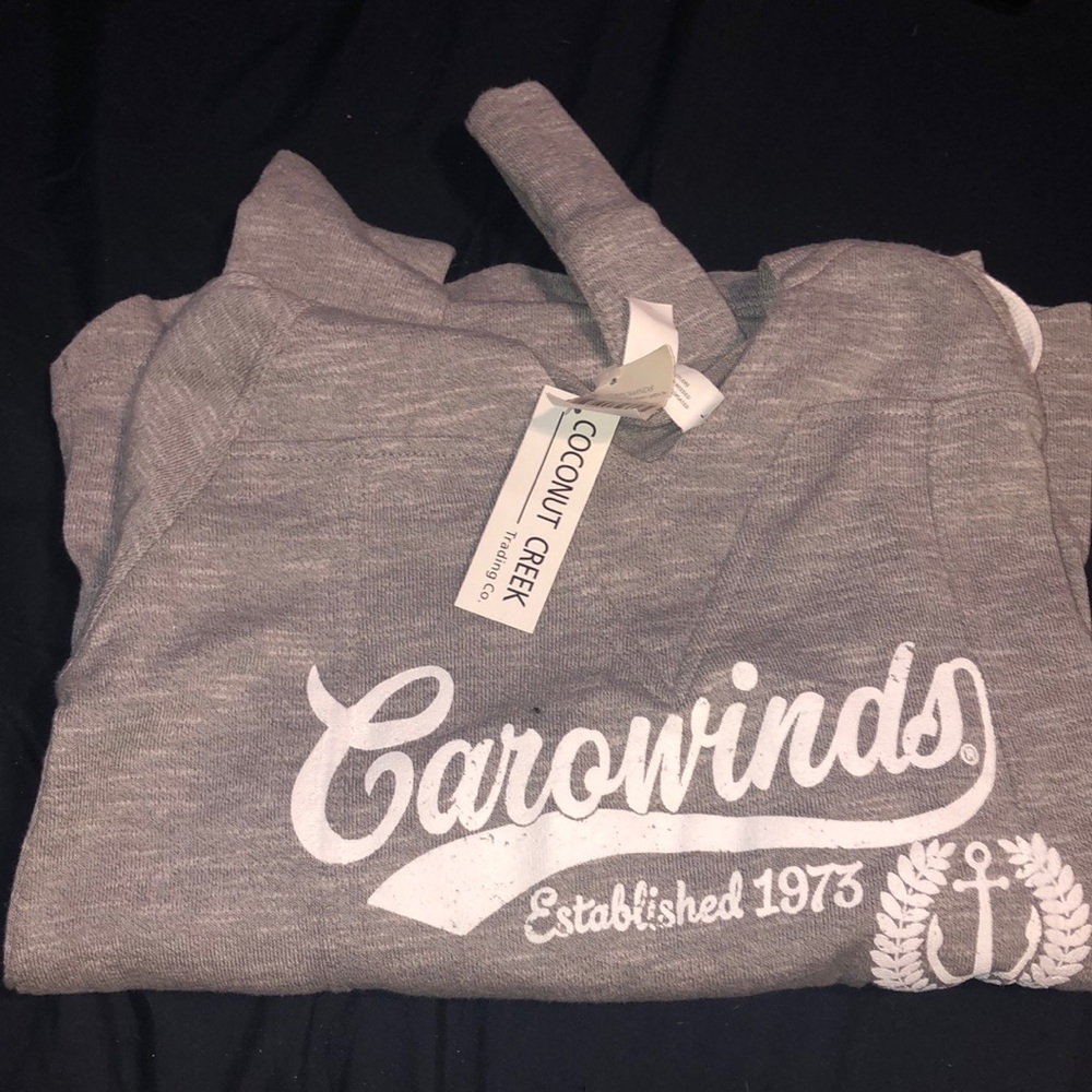 Carowinds Gray Hoodie